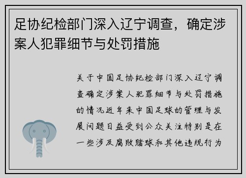 足协纪检部门深入辽宁调查，确定涉案人犯罪细节与处罚措施